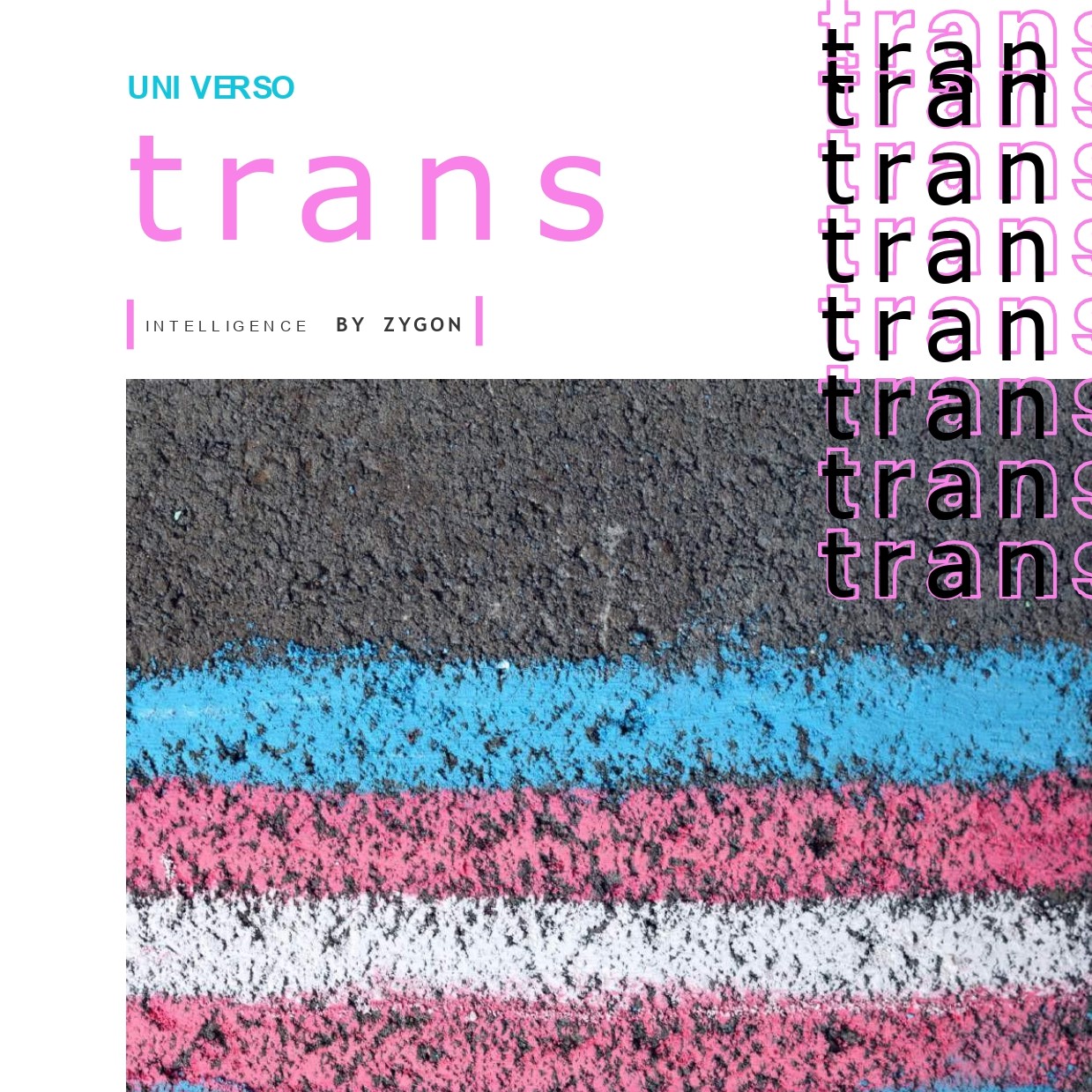 Pesquisa inédita traz leitura de 5,5 milhões de interações sobre Universo Trans nas redes sociais